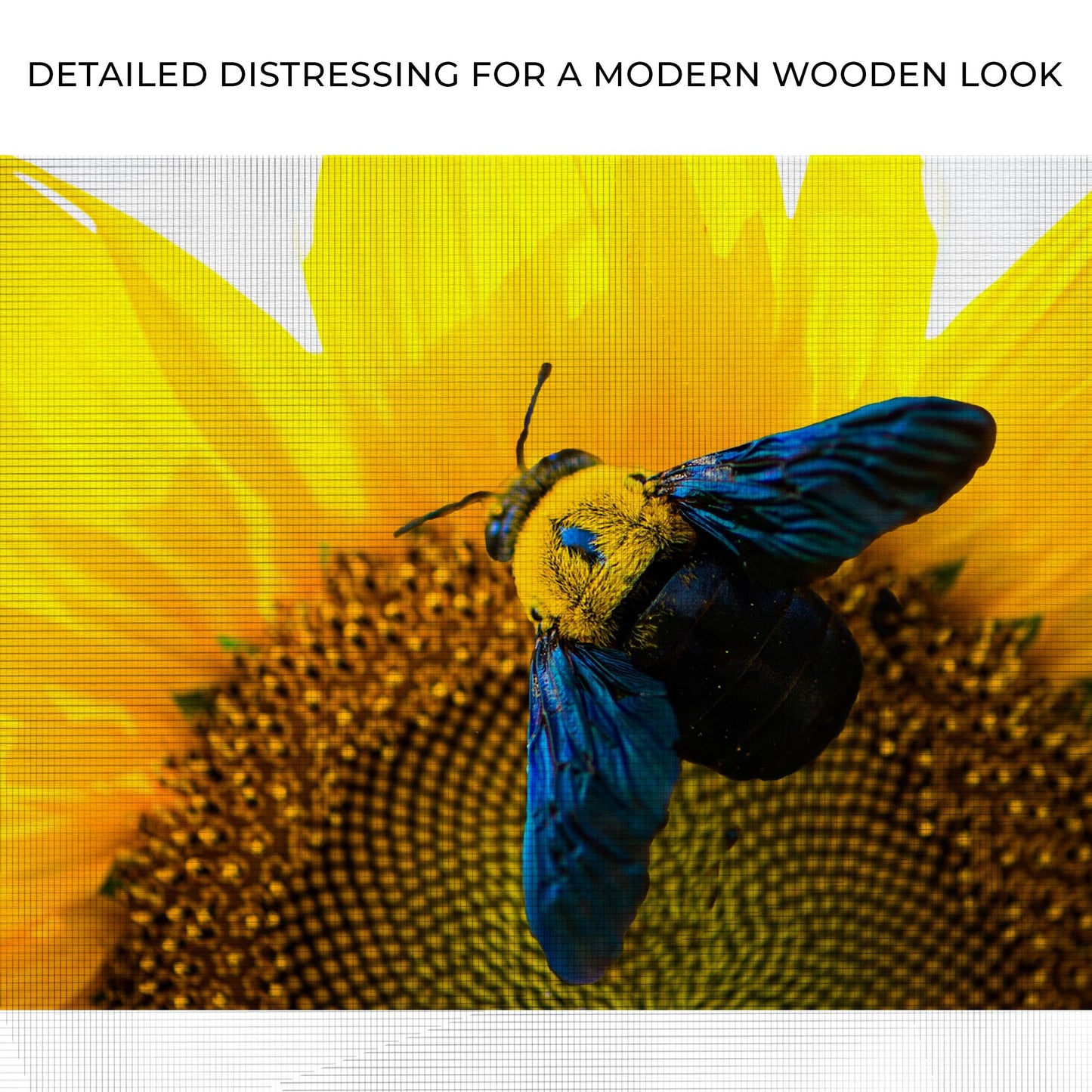 Bee and Hoverfly Above Sunflower Canvas Wall Art