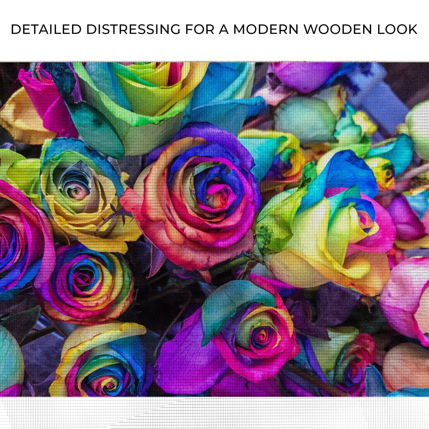 Rainbow Roses Floral Canvas Wall Art