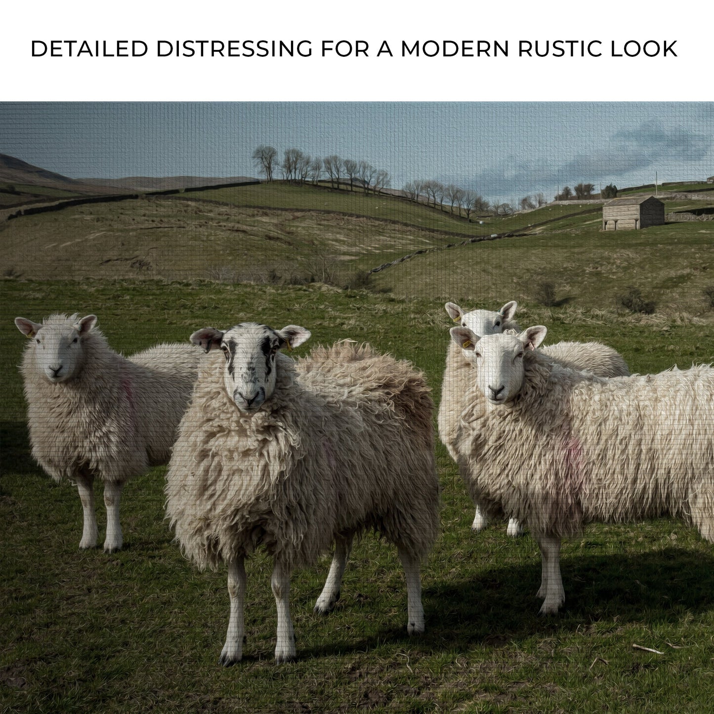 Flock of Sheep Canvas Wall Art Farmhouse Decor