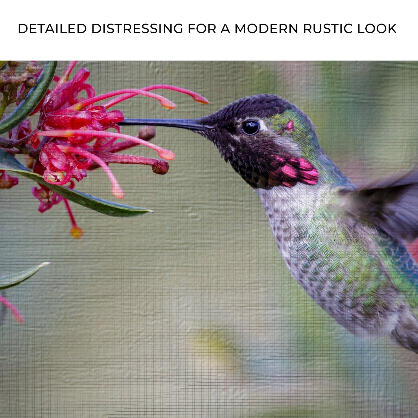 Hummingbird Spring Floral Canvas Wall Art
