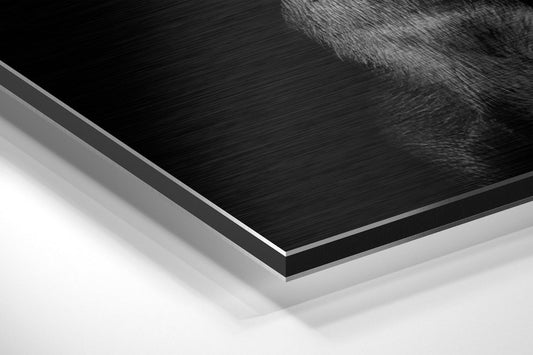 Dog and Gun Brushed Aluminum Wall Art