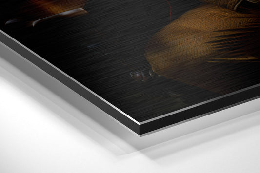 Lion in a red velvet coat brushed aluminum panel corner close-up showing the brushed metal grain