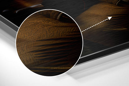 Magnified detail of the brushed metal grain showing through the lion in a red velvet coat print