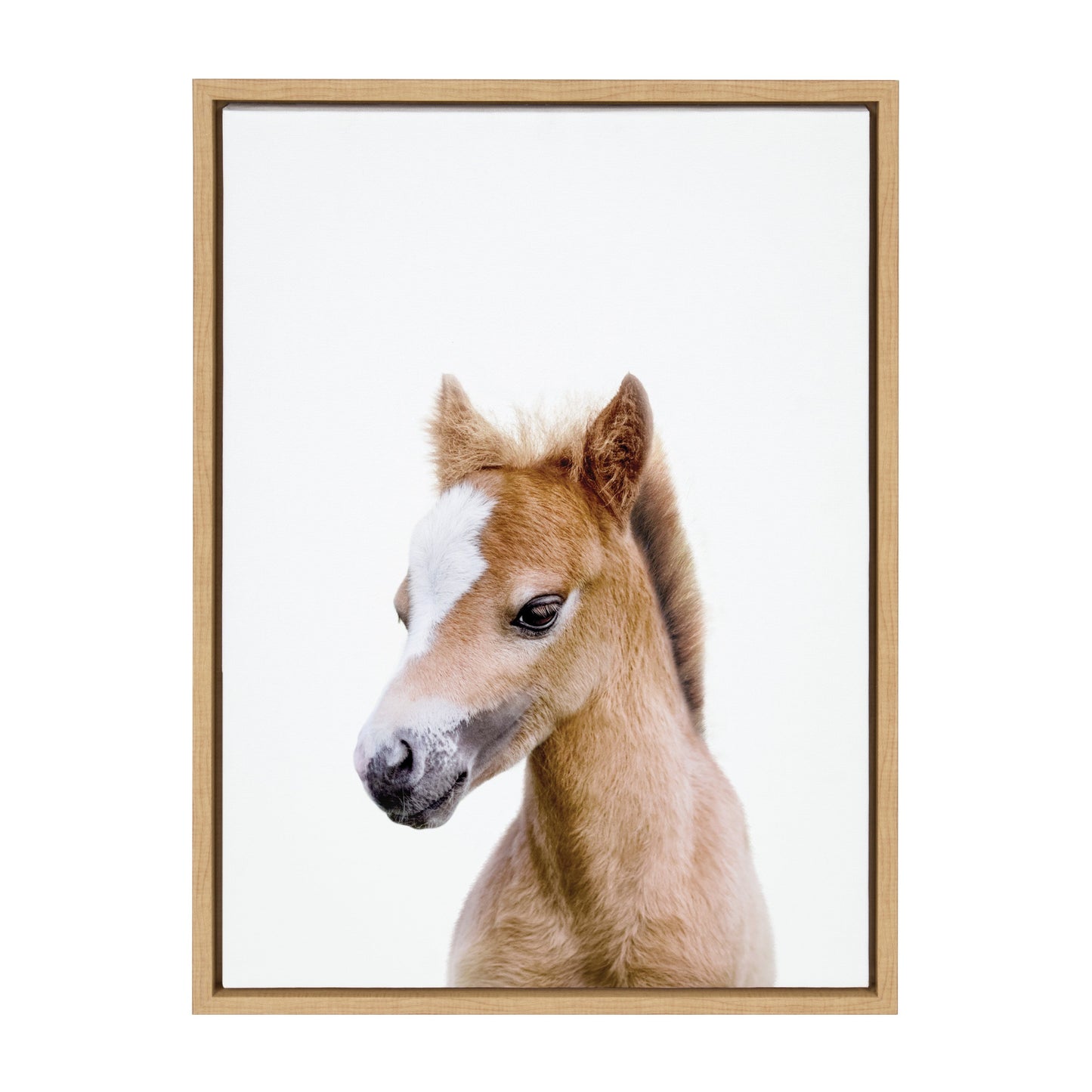 Baby Horse Foal Framed Canvas Wall Art, Nursery Decor