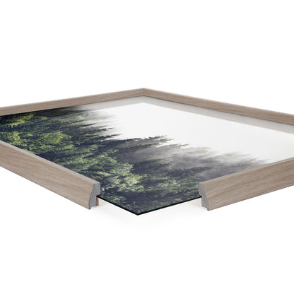 Lush Green Forest Foggy Day Framed Glass Wall Art