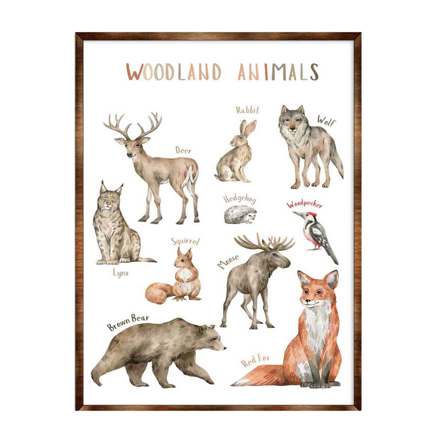 Woodland animals wooden kids room educational wall art poster