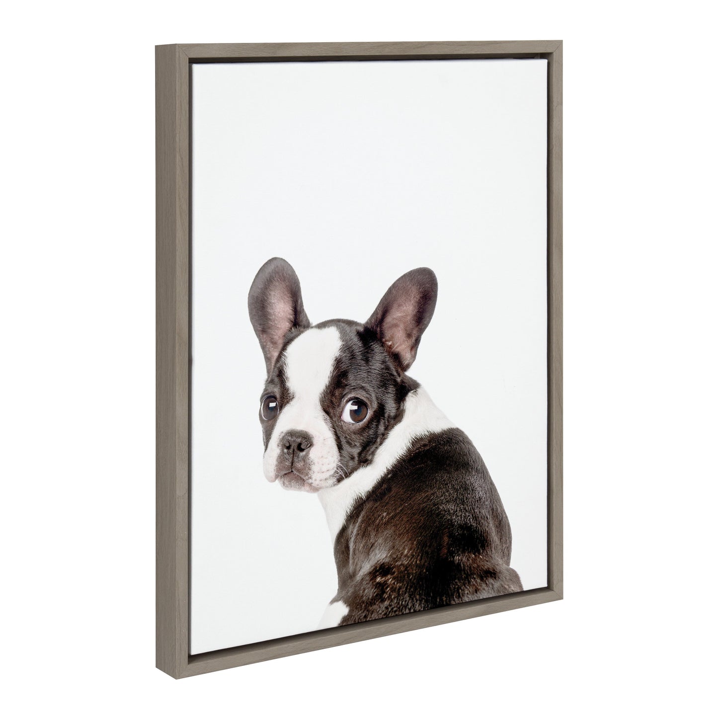 French bulldog framed canvas wall art