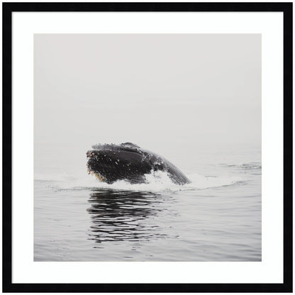 Humpback Whale No. 4 by Laura Evans Framed Wall Art Print