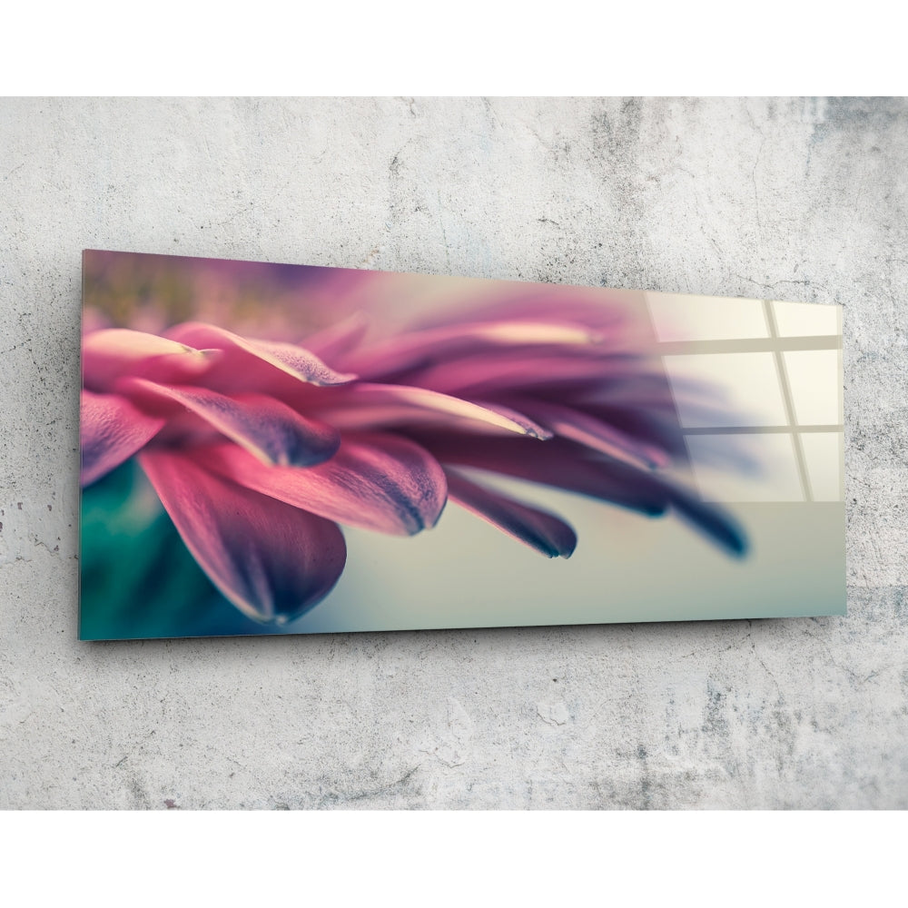 Pink flower petal macro panoramic glass wall art on a pale concrete wall, angled to show the glossy surface