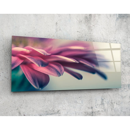 Pink flower petal macro panoramic glass wall art on a pale concrete wall, angled to show the glossy surface