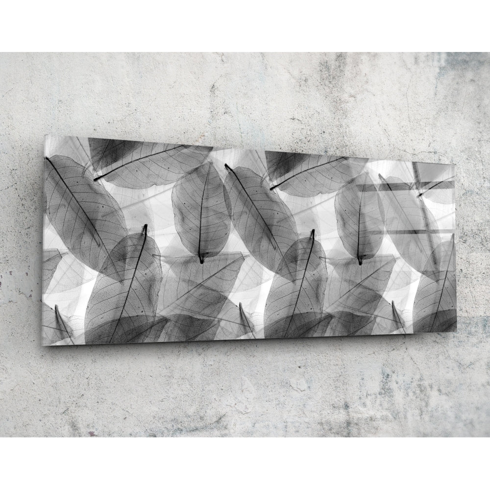 Black and white leaves glass wall art panoramic size