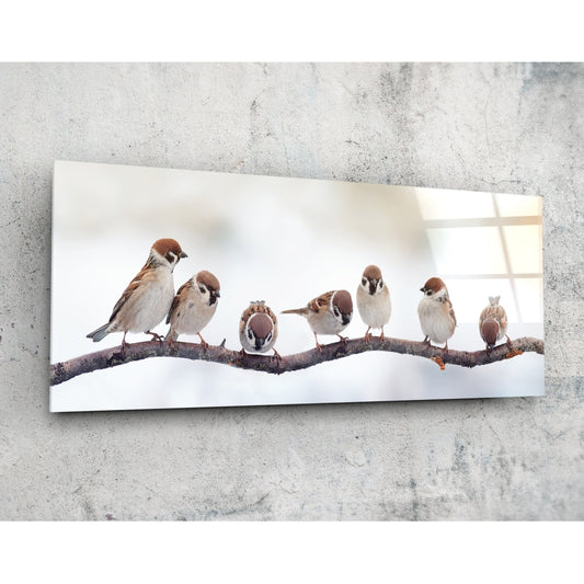 Birds panoramic glass wall art - wide landscape bird scene printed on tempered glass