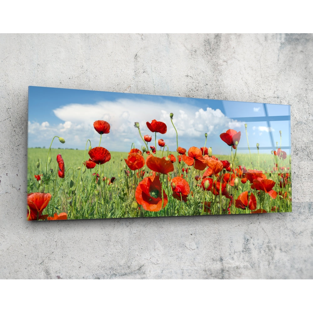 Poppy flower panoramic glass wall art