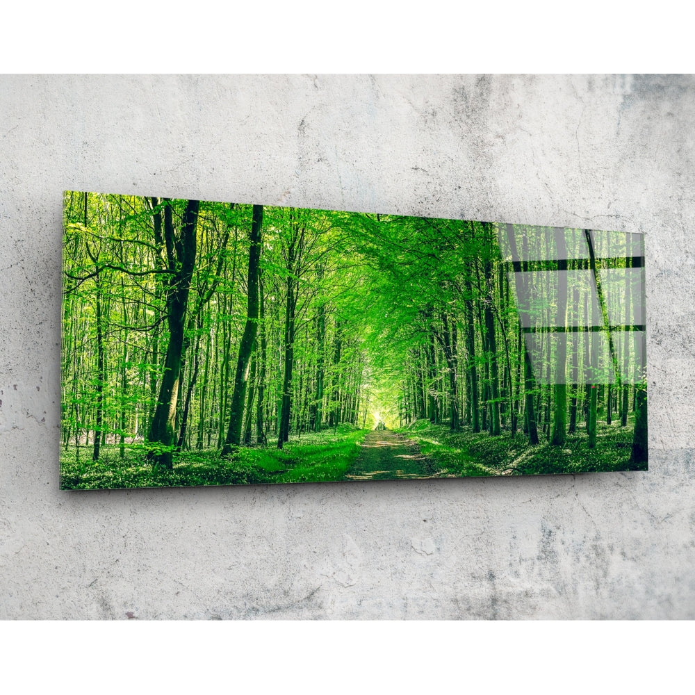 Misty forest woodland scene printed on high-gloss tempered glass wall art