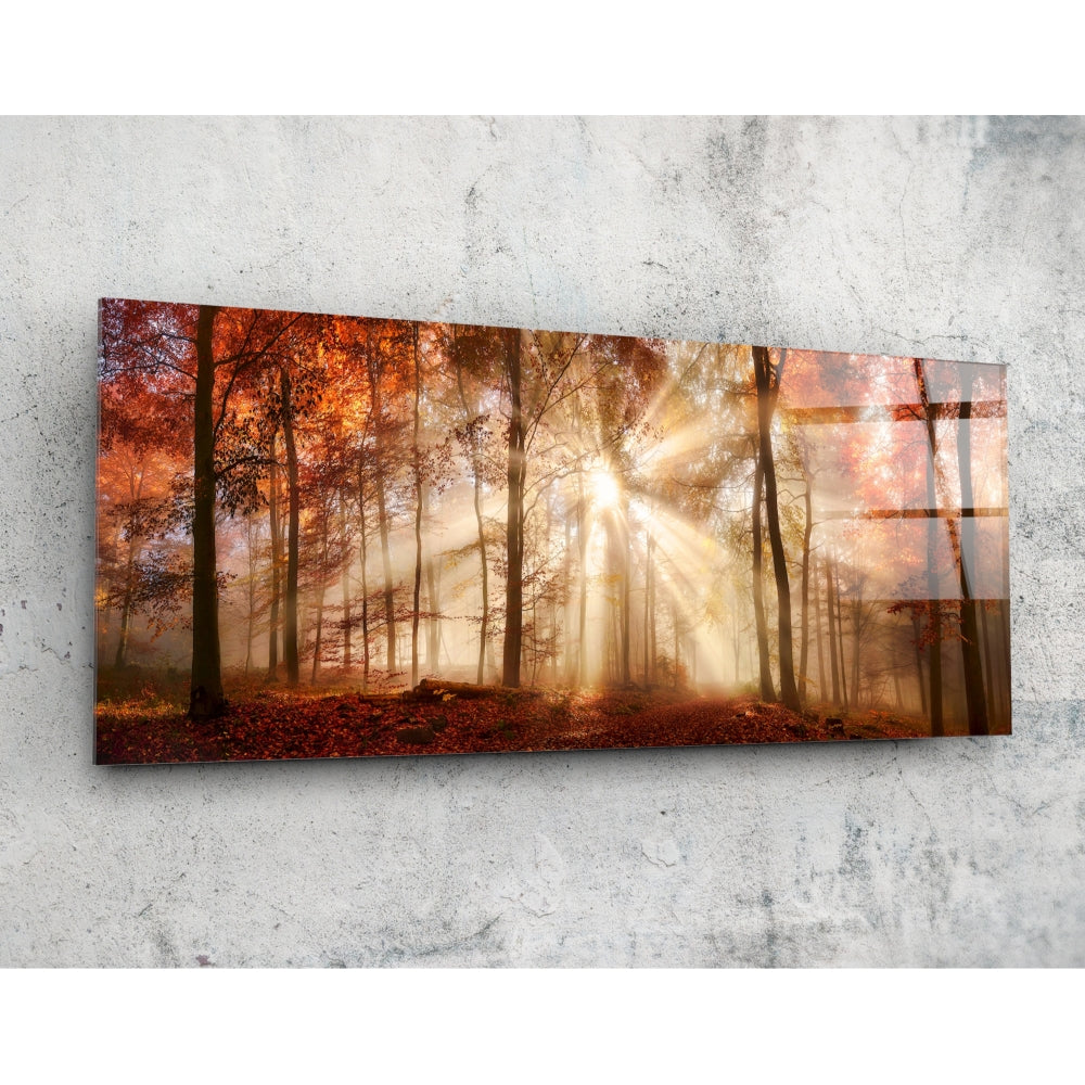 Amber autumn forest light rays glass wall art