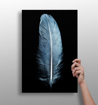 Blue feather metal wall art aluminum print