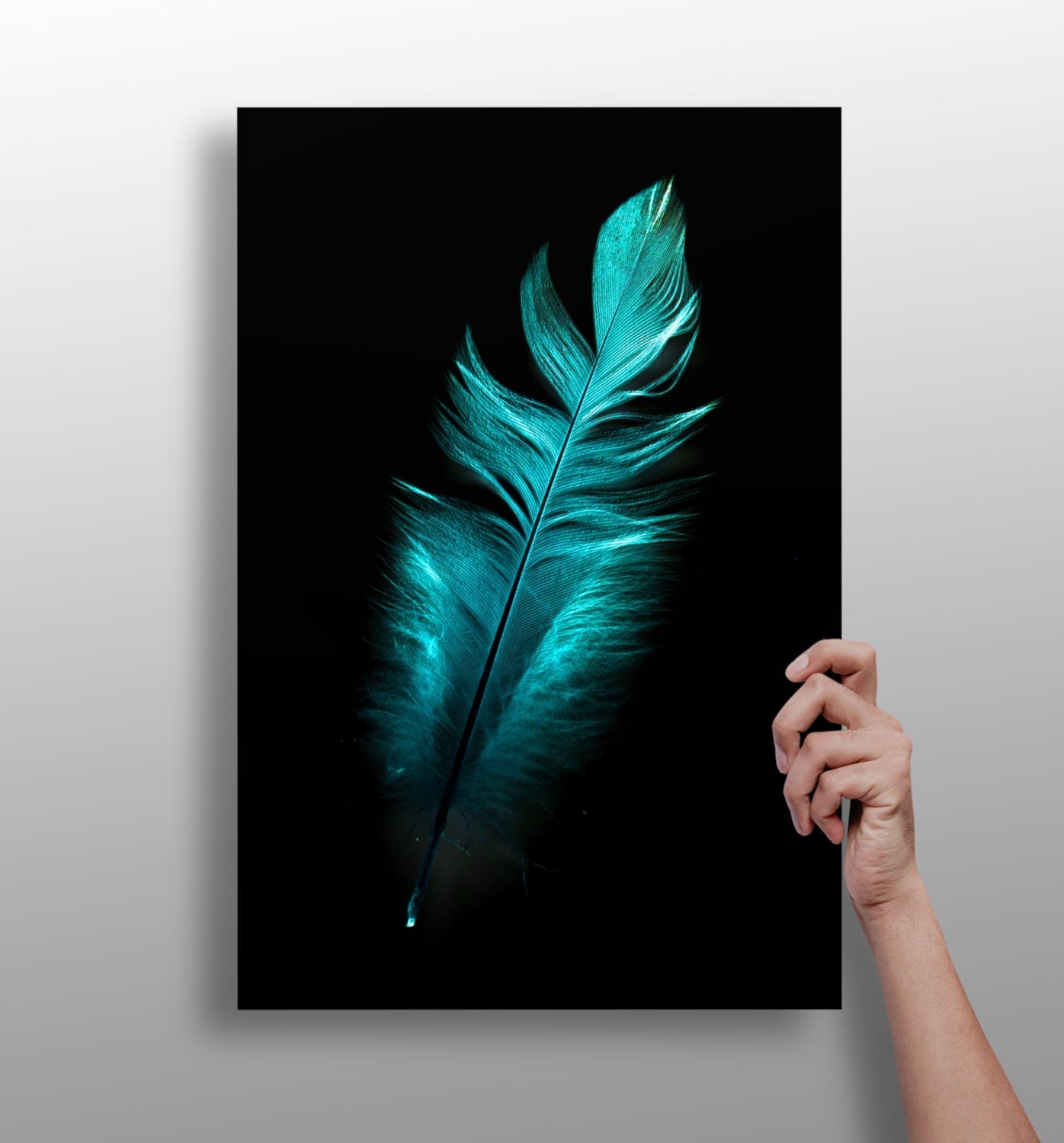 Teal feather metal wall art aluminum print