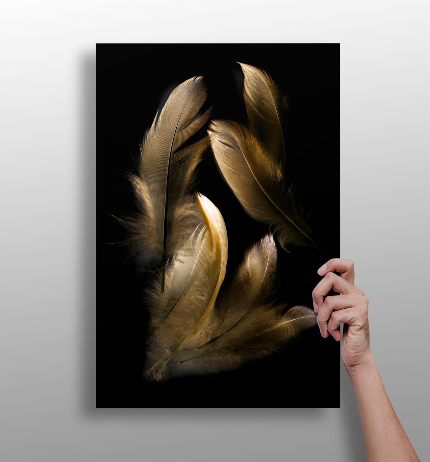 Bronze feather metal wall art aluminum print