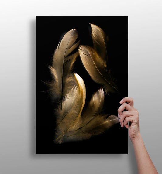 Bronze feather metal wall art aluminum print