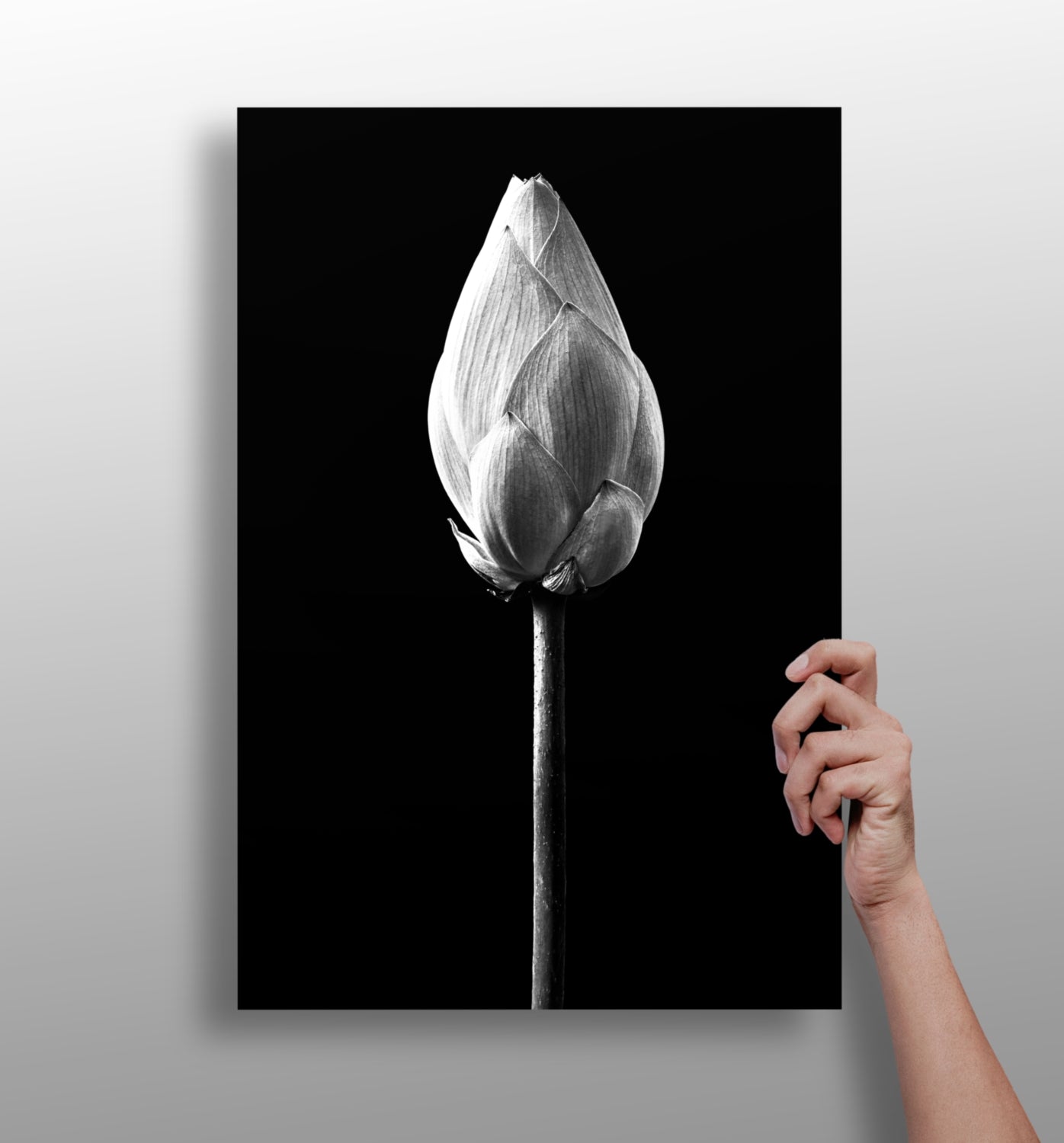 Flower aluminum panel metal wall art
