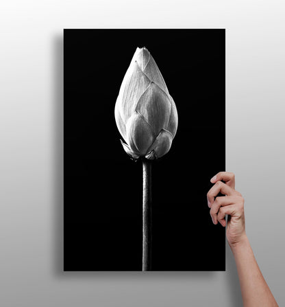 Flower aluminum panel metal wall art