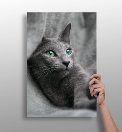 Cat aluminum metal wall art print in matte finish