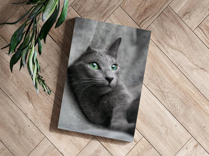 Cat Metal Wall Art
