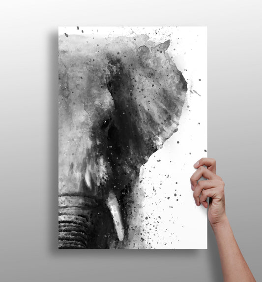 Elephant metal wall art aluminum print