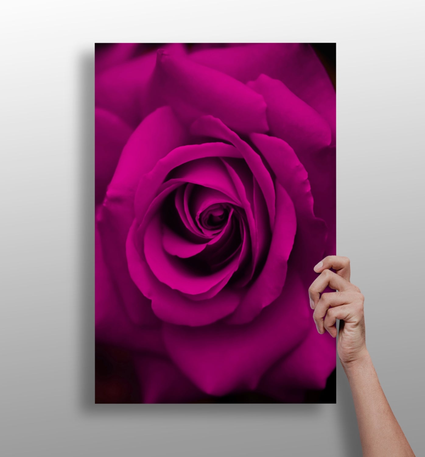 Rose metal wall art aluminum print
