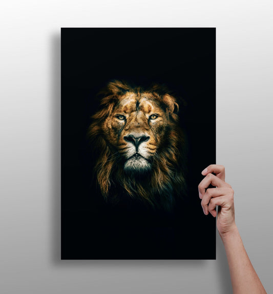Lion aluminum print wall art, bold lion portrait on 4mm matte aluminum panel