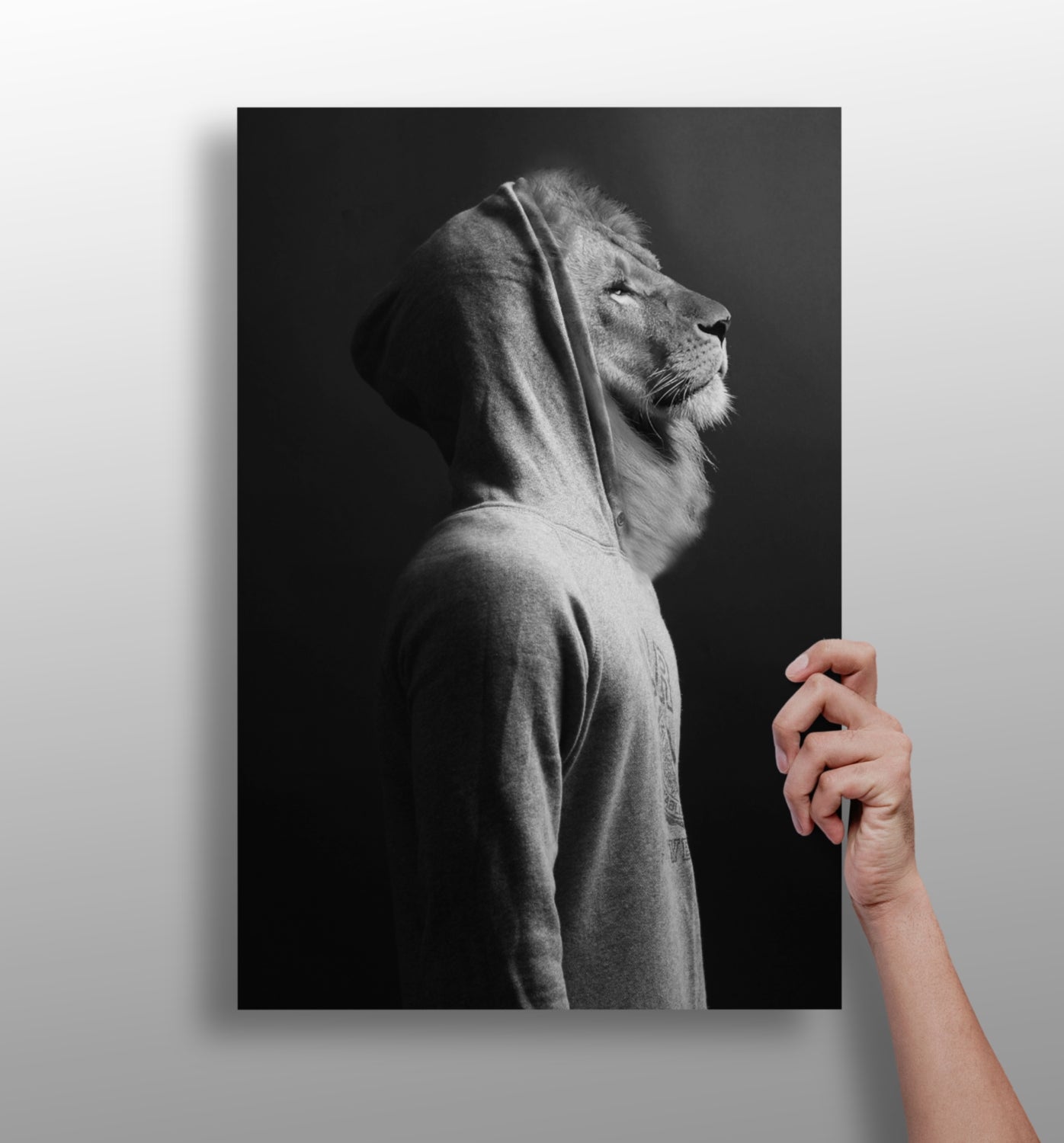 Lion metal wall art aluminum print