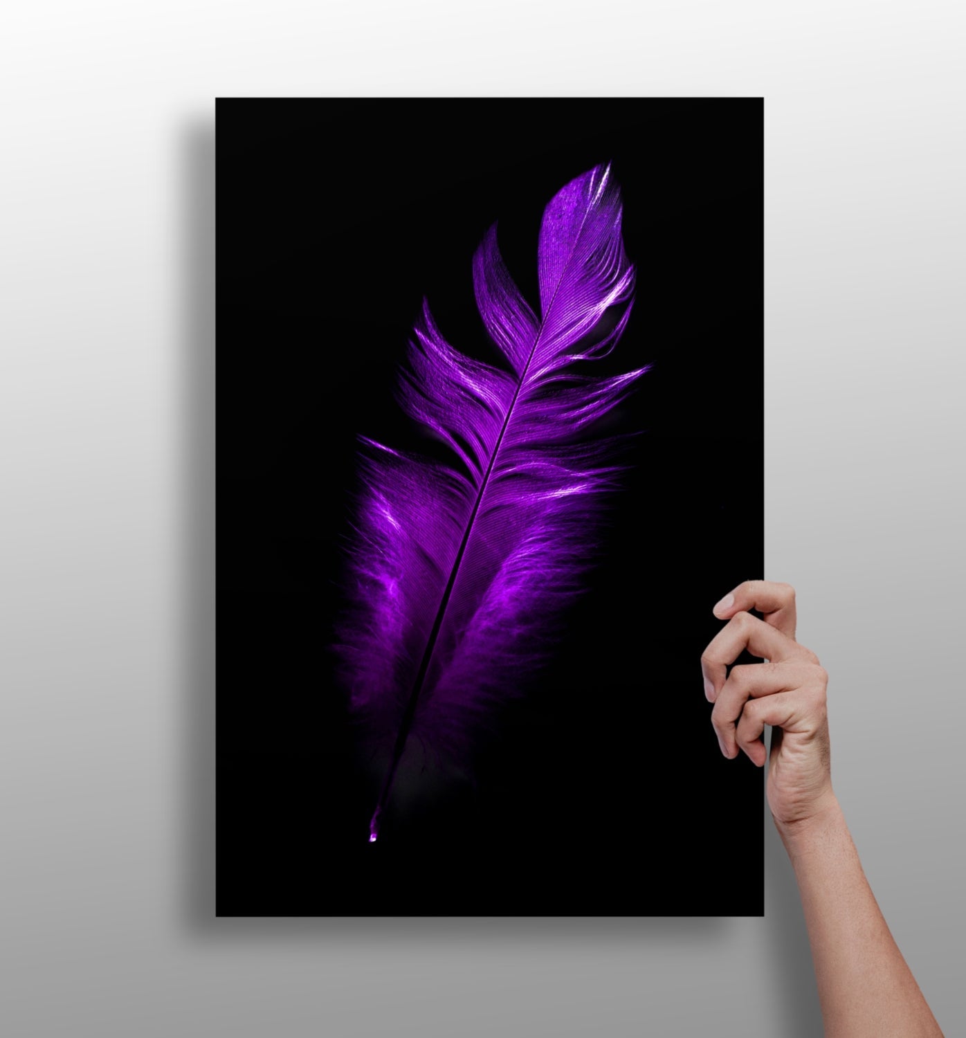 Purple feather metal wall art aluminum print