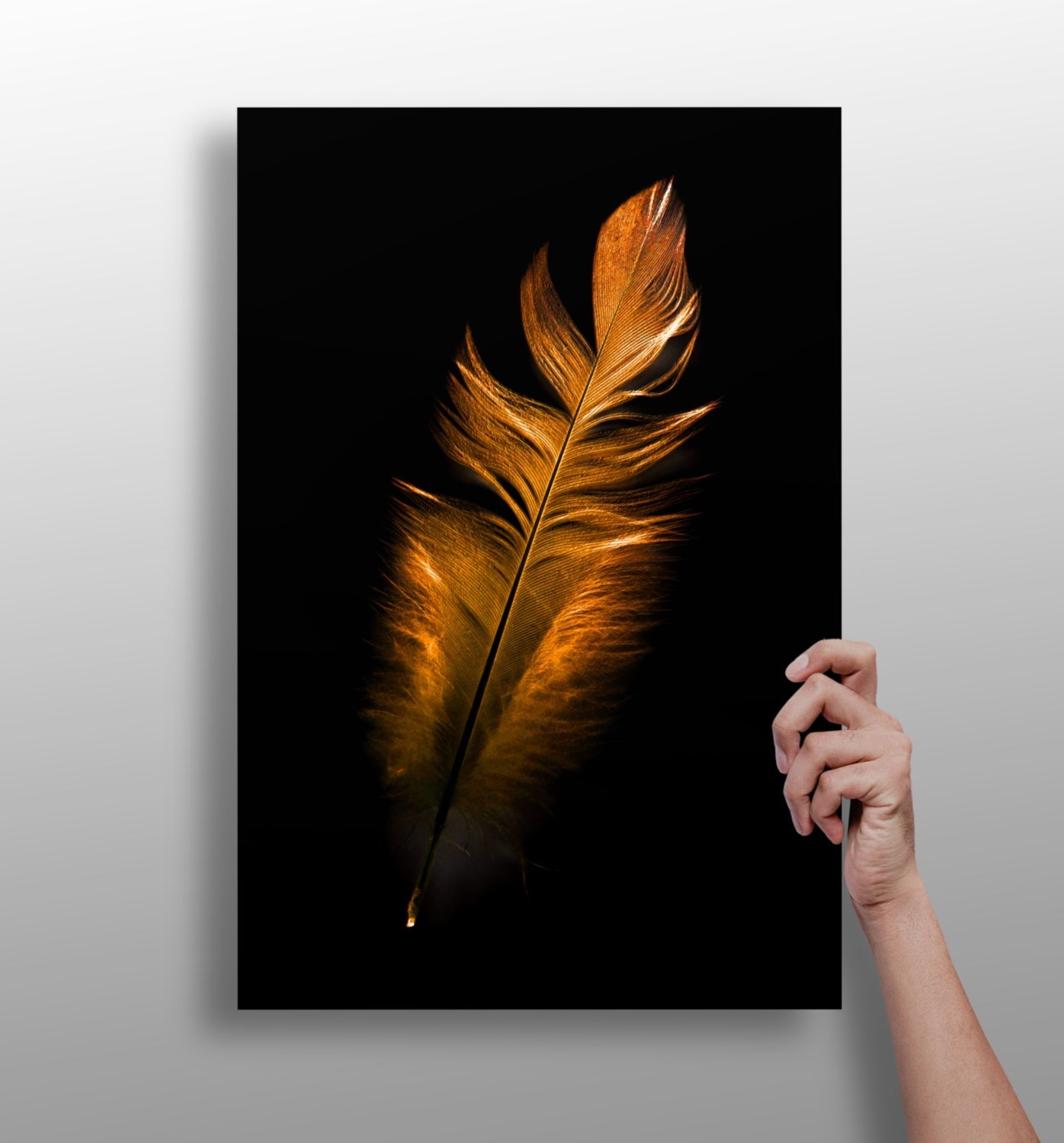 Bronze feather metal wall art aluminum print