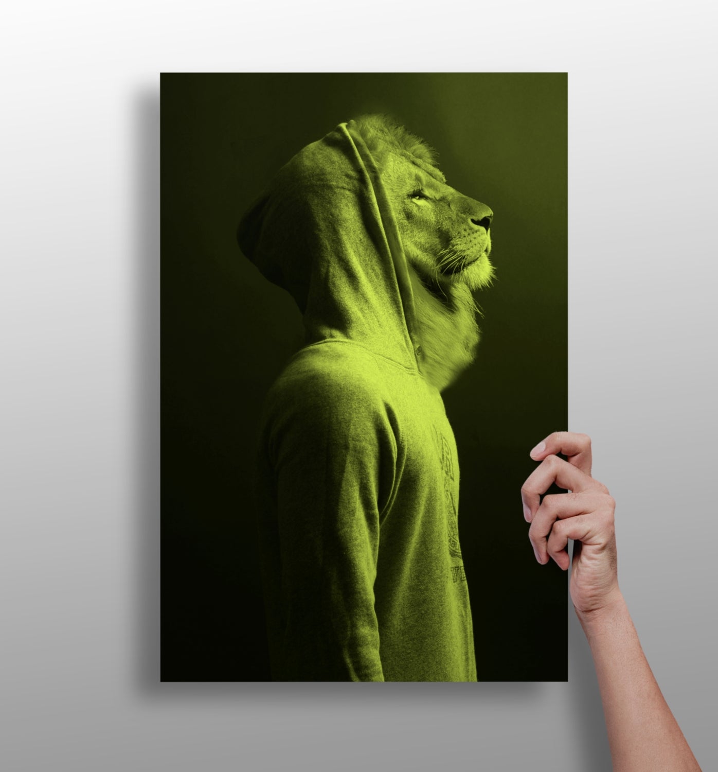 Lion aluminum wall art print