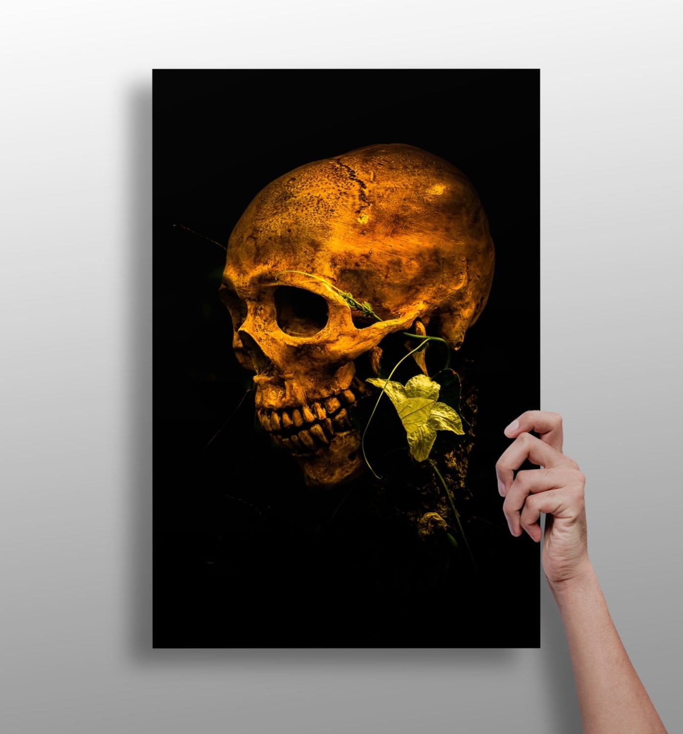 Skull aluminum wall art print