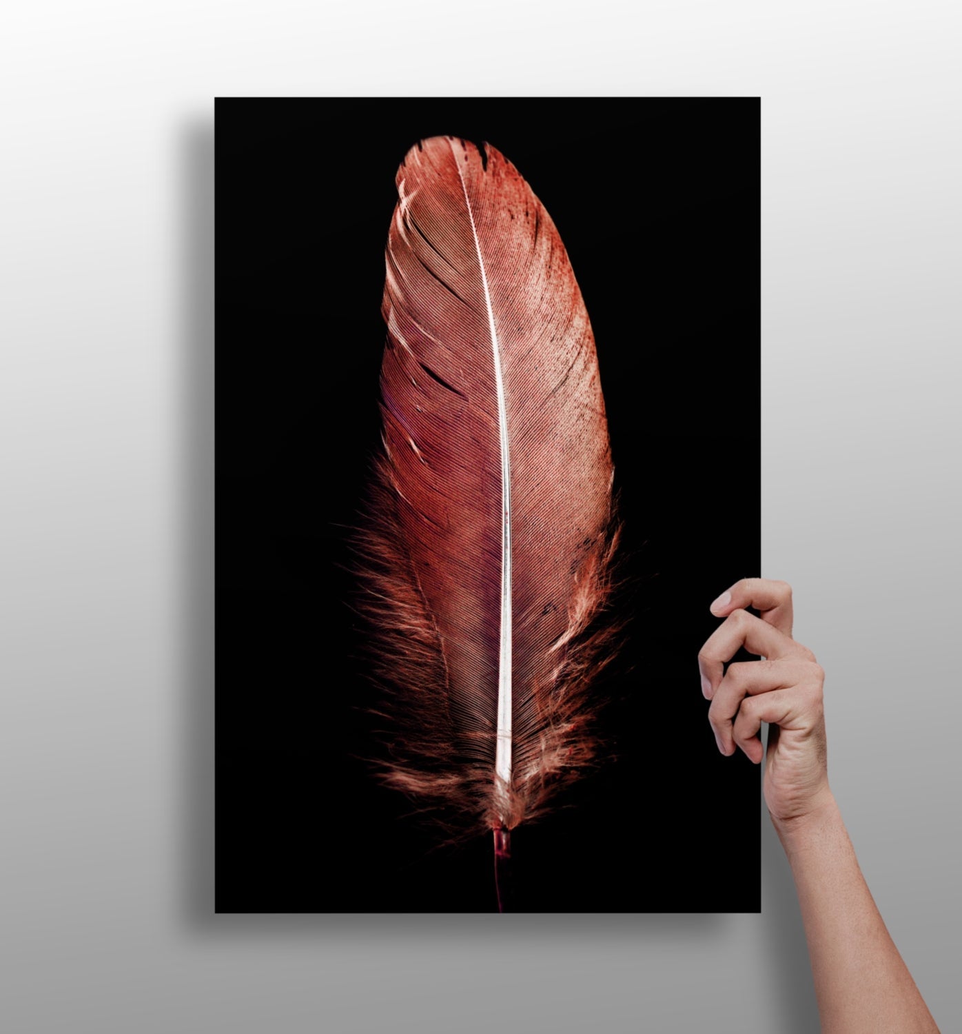 Red Feather Metal Wall Art