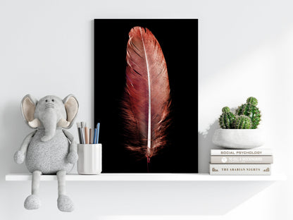 Red Feather Metal Wall Art