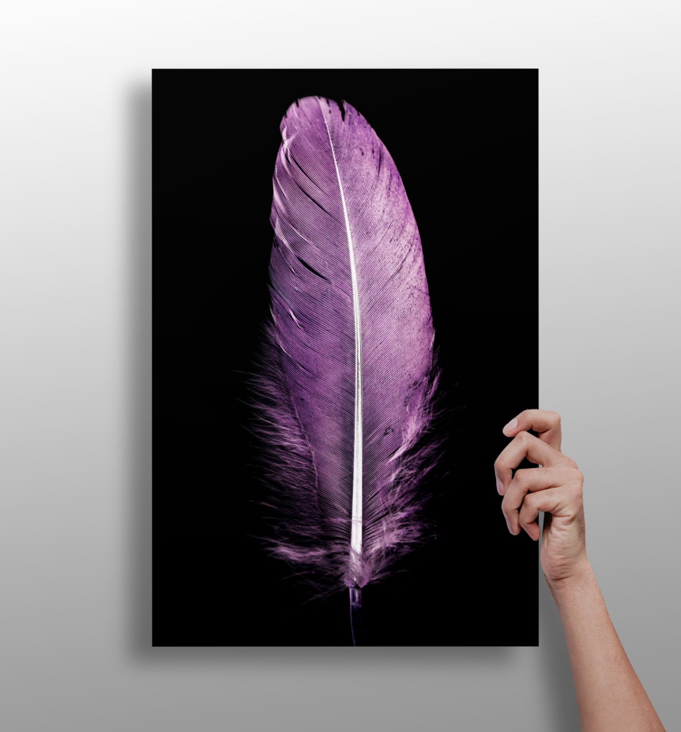 Purple feather metal wall print, boho aluminum panel