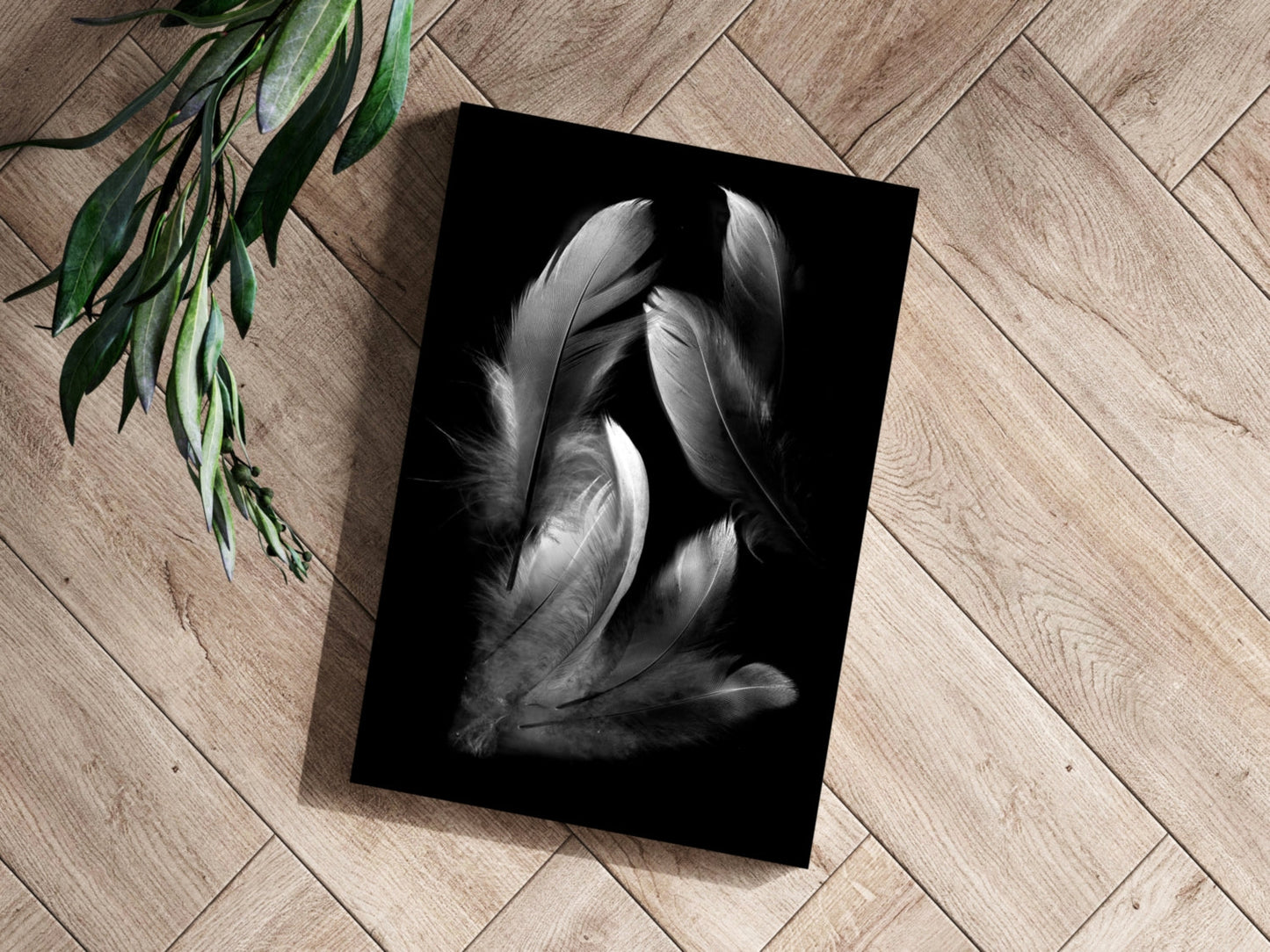 Feathers Metal Wall Art