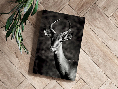 Antelope Metal Wall Art