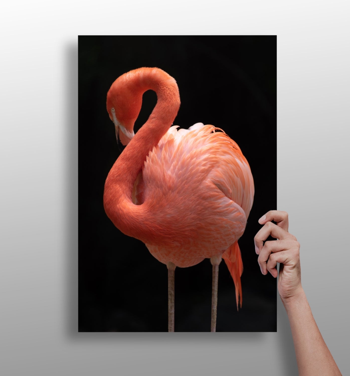 Flamingo metal wall art panel with tropical bird design