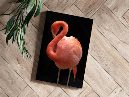 Flamingo Metal Wall Art