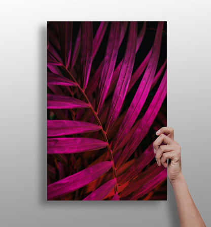 Fuschia leaf aluminum wall art print