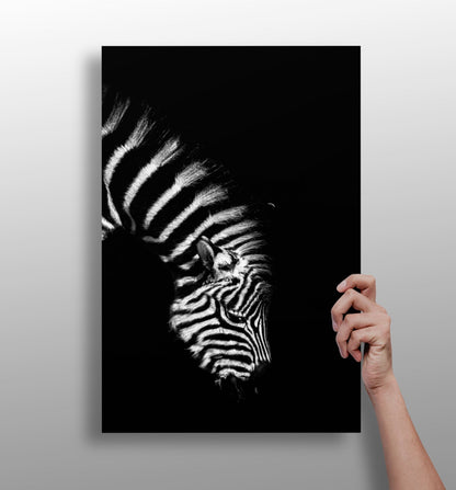 Zebra aluminum wall art