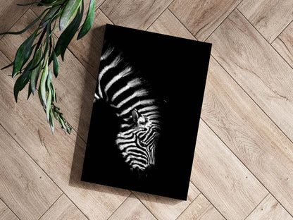 Zebra Aluminum Wall Art