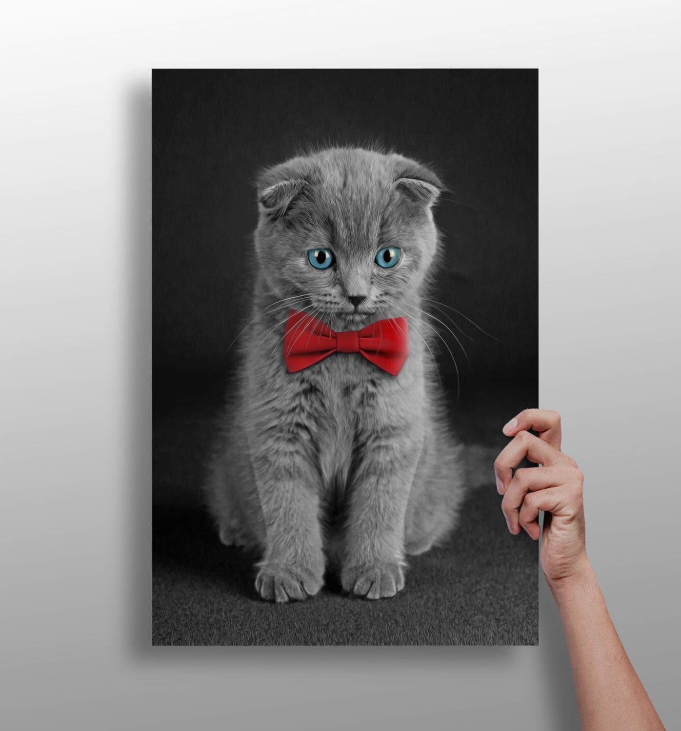 Cute kitten aluminum wall art print
