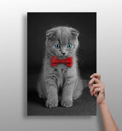 Cute kitten aluminum wall art print