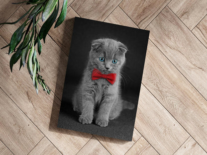 Cute Kitten Metal Wall Art