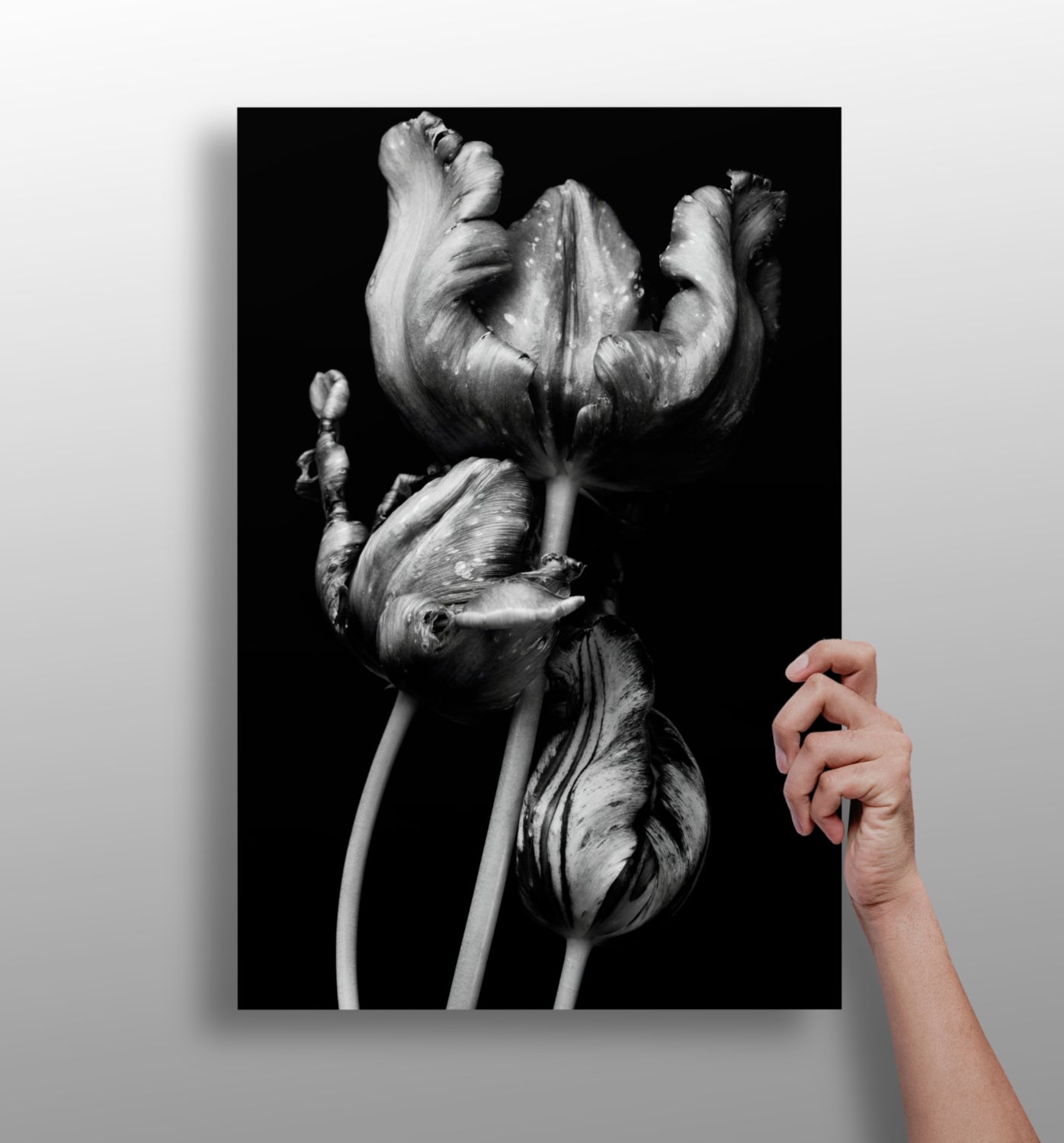 Flowers metal wall art print with vivid floral color