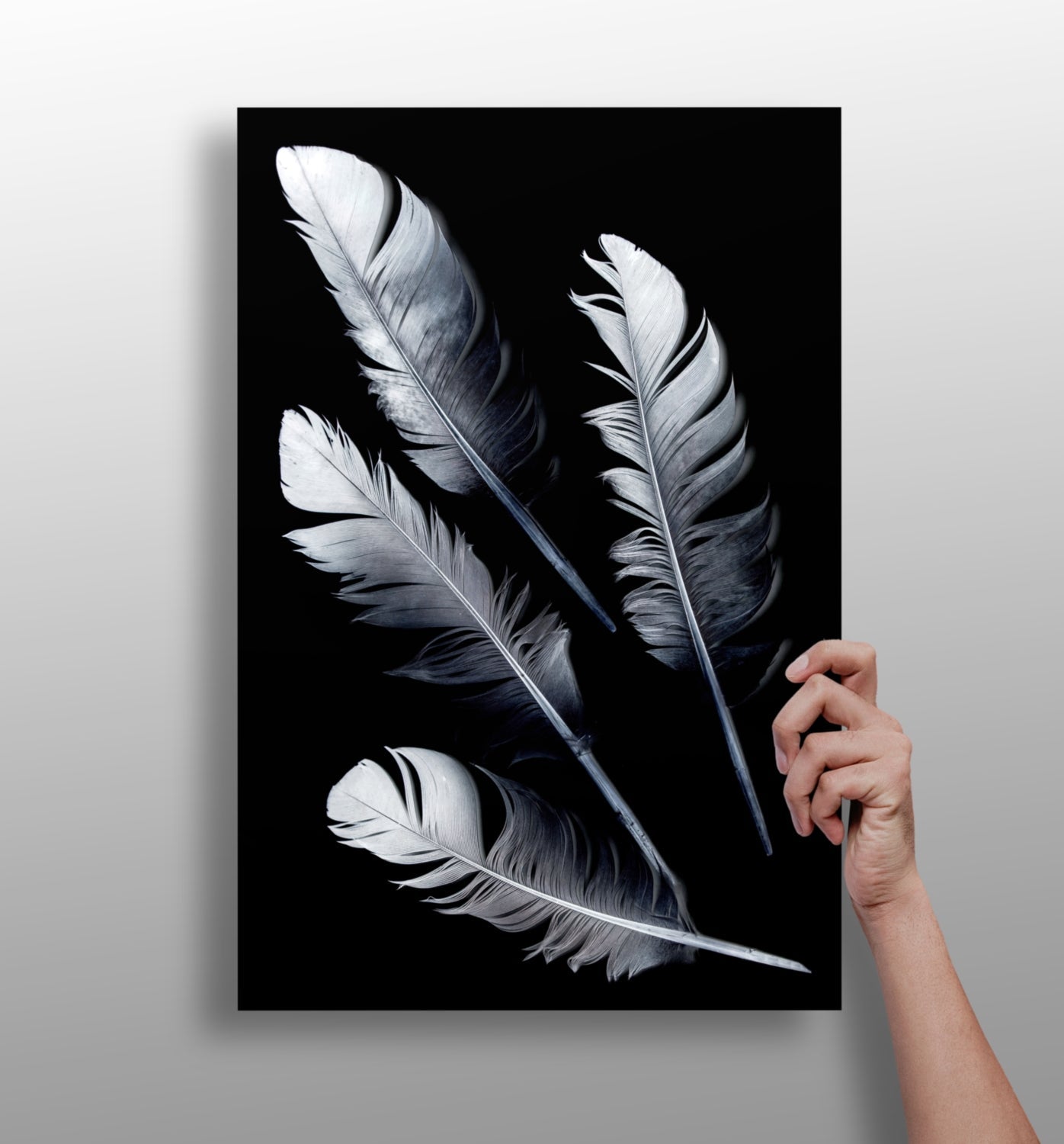 Feathers Aluminum Print with soft natural feather design